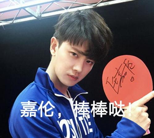 明星网红去澳门干嘛