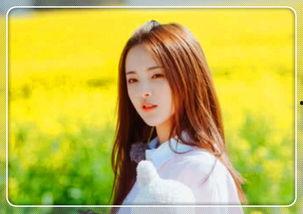 明星网红怎么拍照的