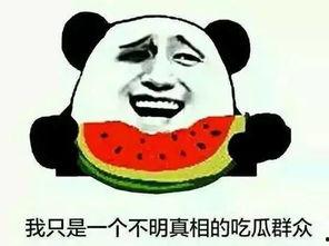 飞瓜搞笑热门音乐推荐,笑点与旋律的完美融合