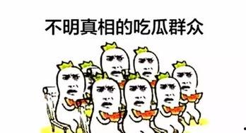 飞瓜搞笑热门音乐推荐,笑点与旋律的完美融合