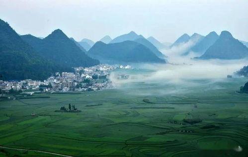 瓜茄承压今日行情,市场动态与价格走势分析