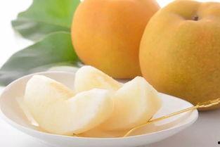 蒙阳蜜瓜今日价格,价格行情一览