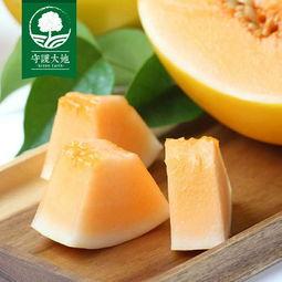 蒙阳蜜瓜今日价格,价格行情一览